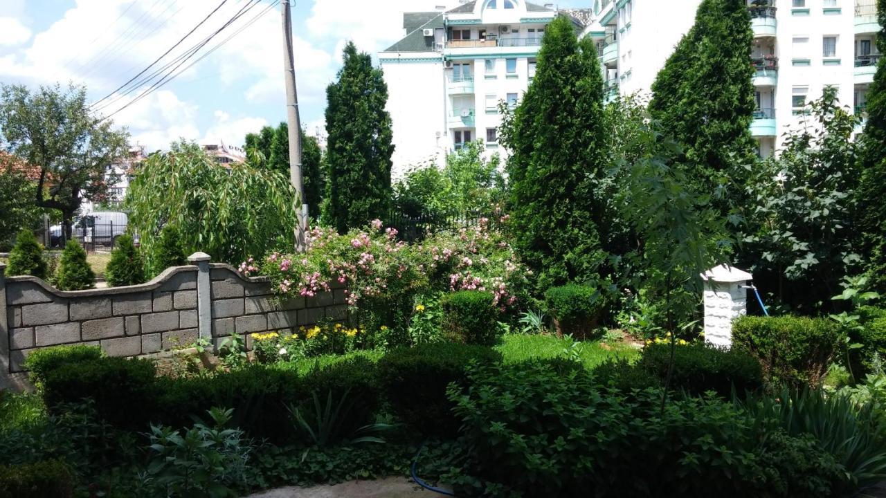 M4U Apartments Ni Exteriér fotografie