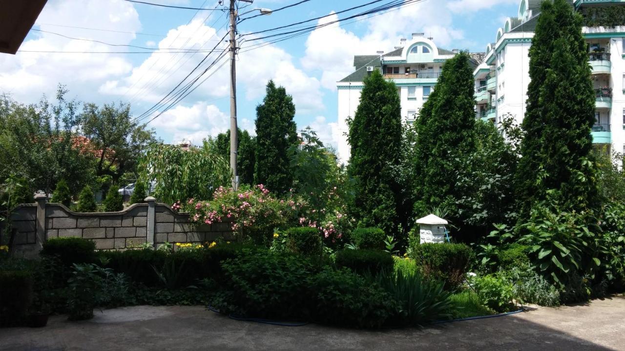 M4U Apartments Ni Exteriér fotografie